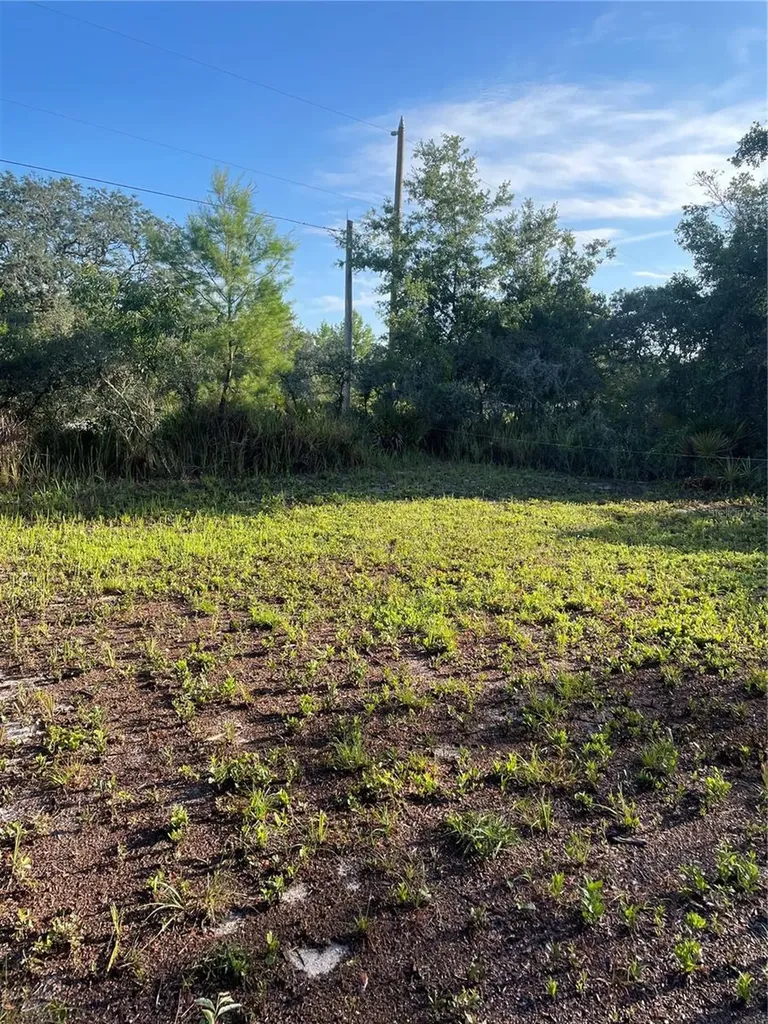 1873 W Foxglove Road Avon Park FL 33825