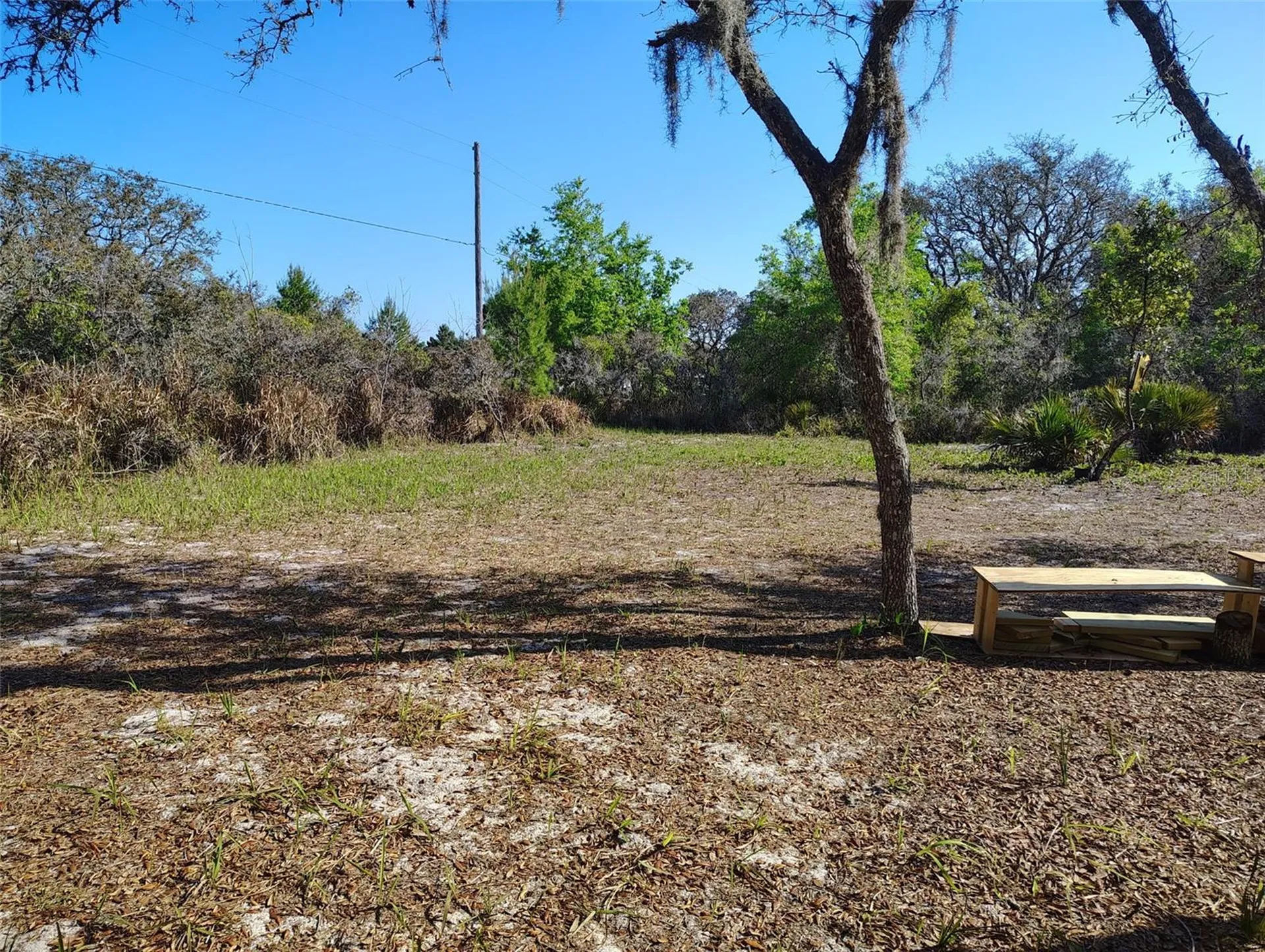 1873 W Foxglove Road Avon Park FL 33825