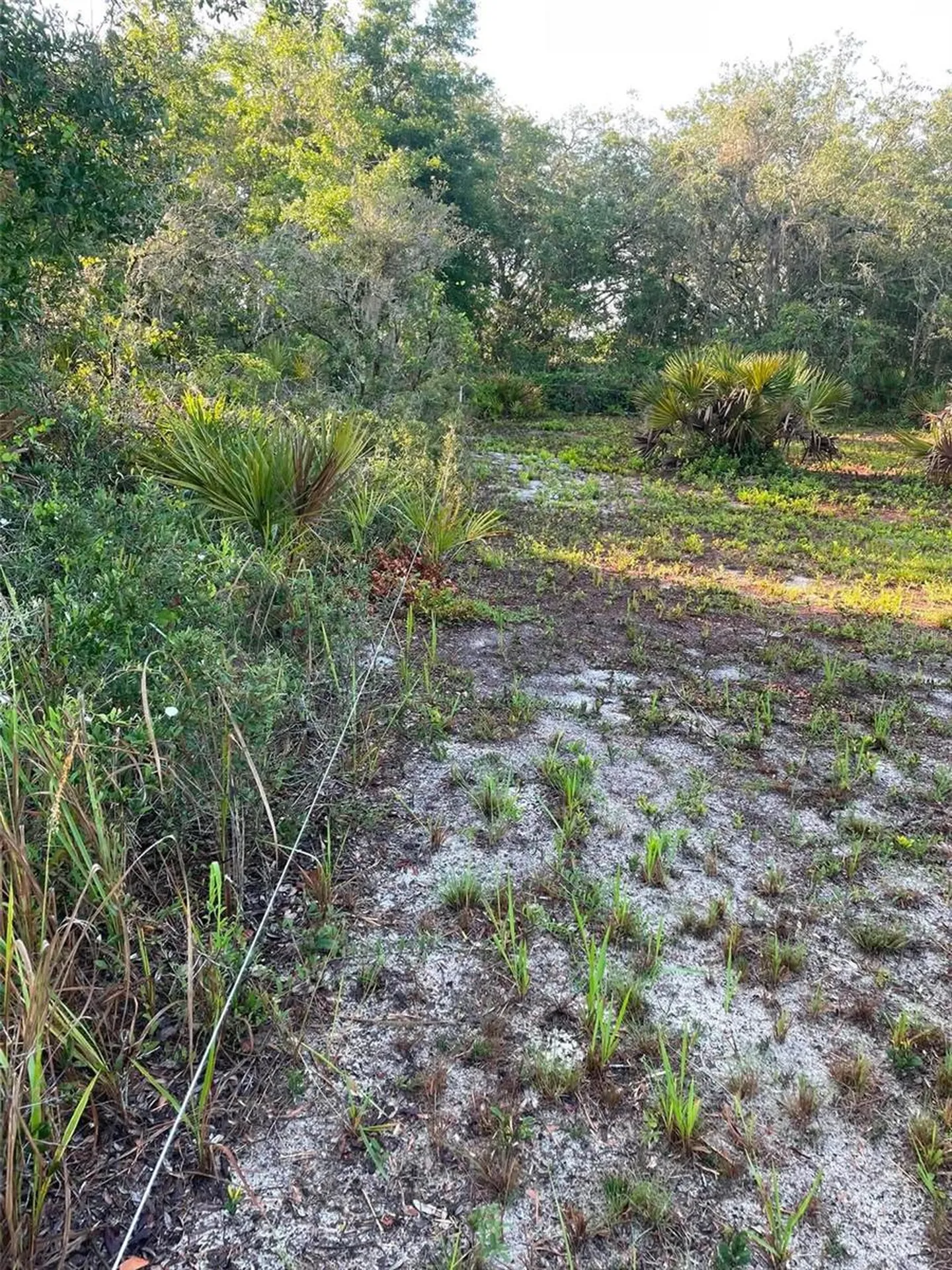1873 W Foxglove Road Avon Park FL 33825
