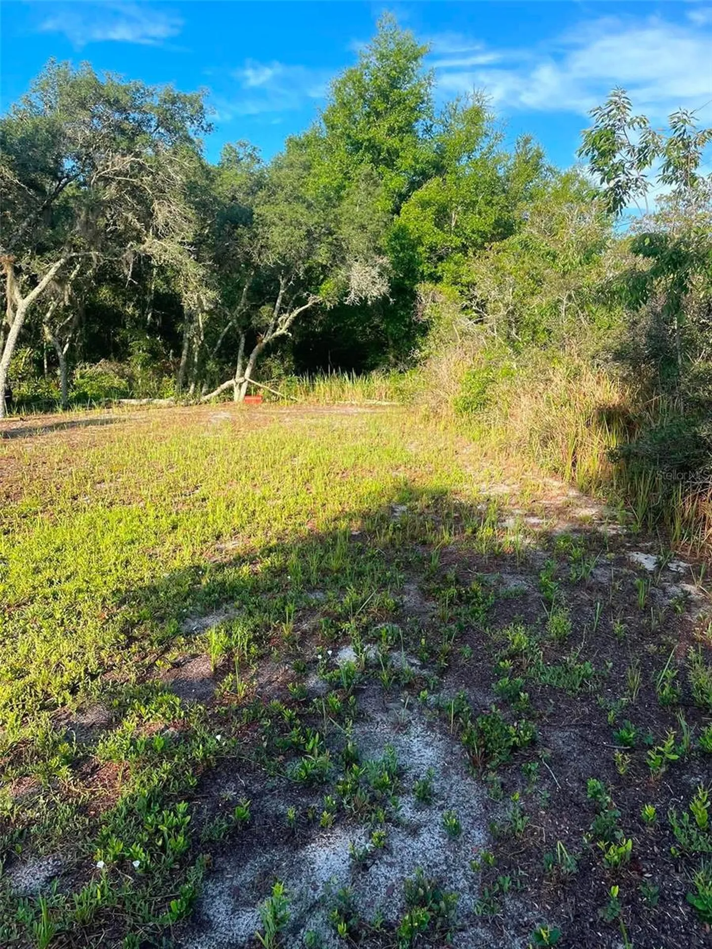 1873 W Foxglove Road Avon Park FL 33825