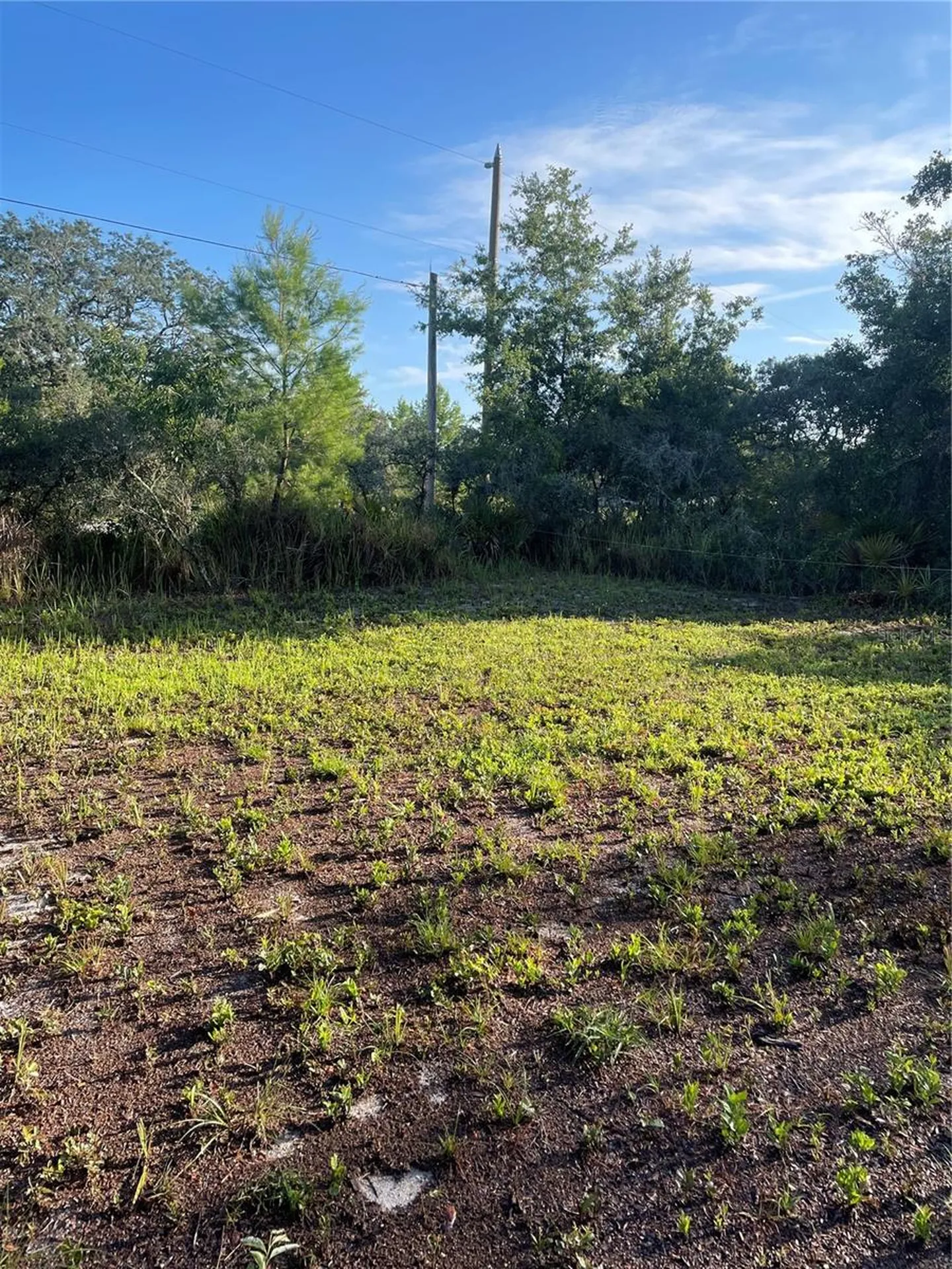 1873 W Foxglove Road Avon Park FL 33825