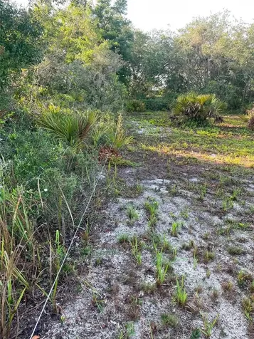 1873 W Foxglove Road Avon Park FL 33825