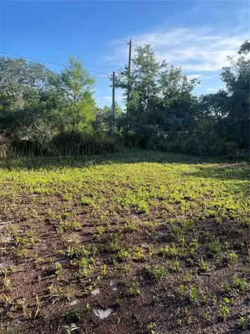 1873 W Foxglove Road Avon Park FL 33825
