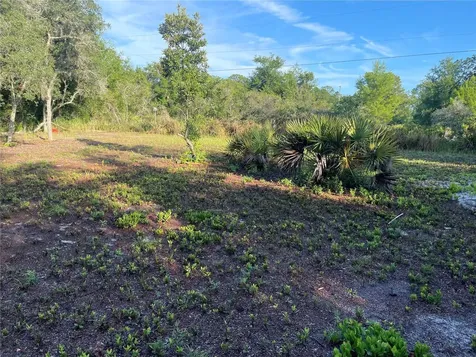 1873 W Foxglove Road Avon Park FL 33825