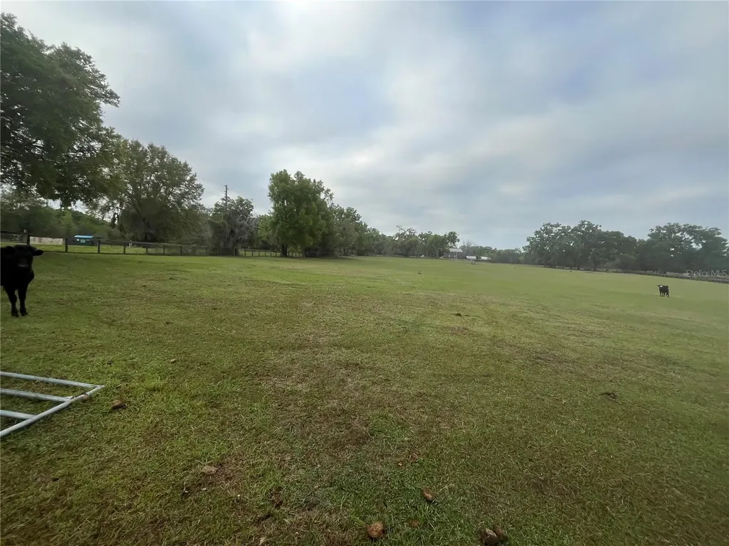 Tbd NE 106th Street Anthony FL 32617
