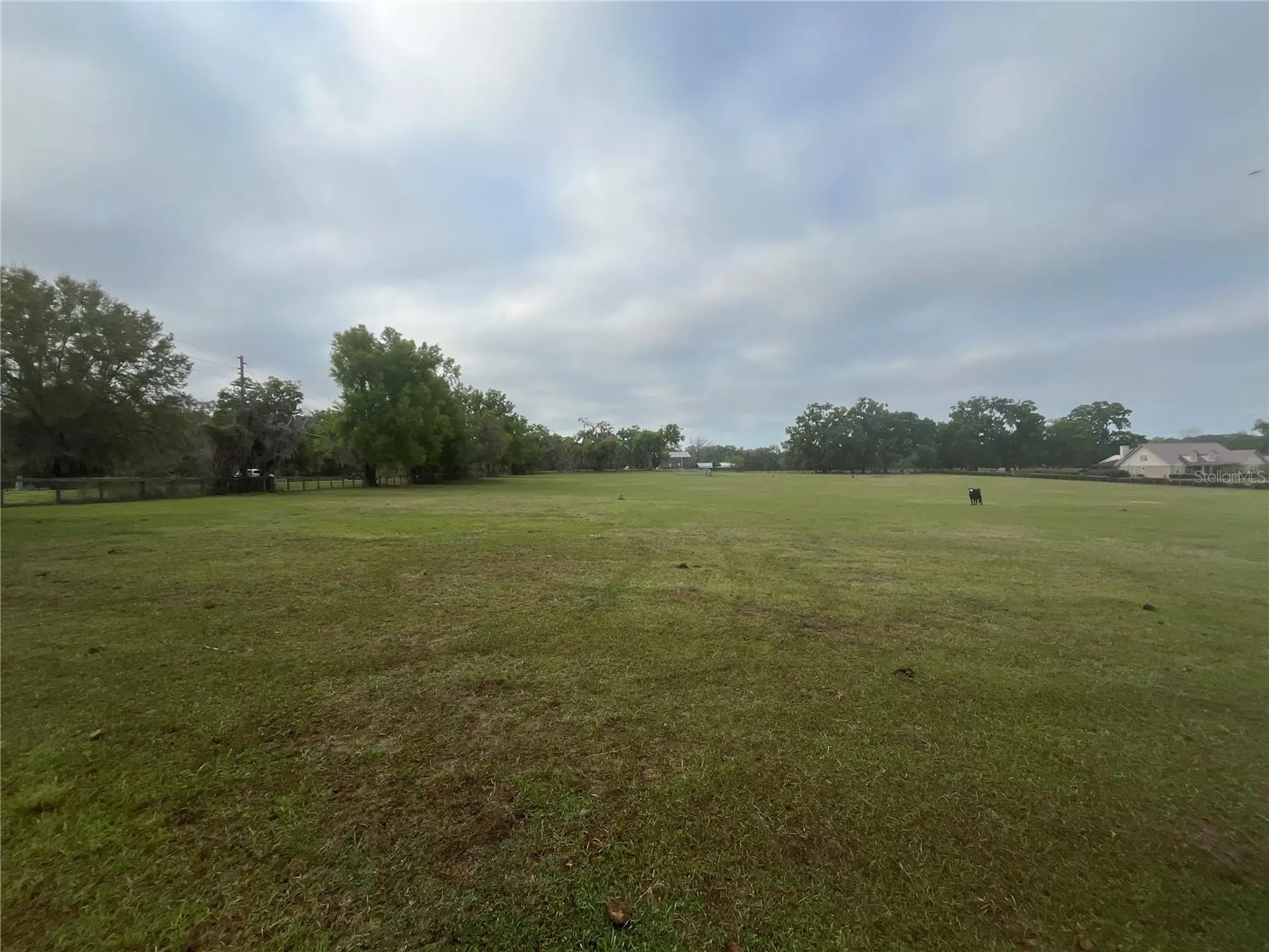 Tbd NE 106th Street Anthony FL 32617