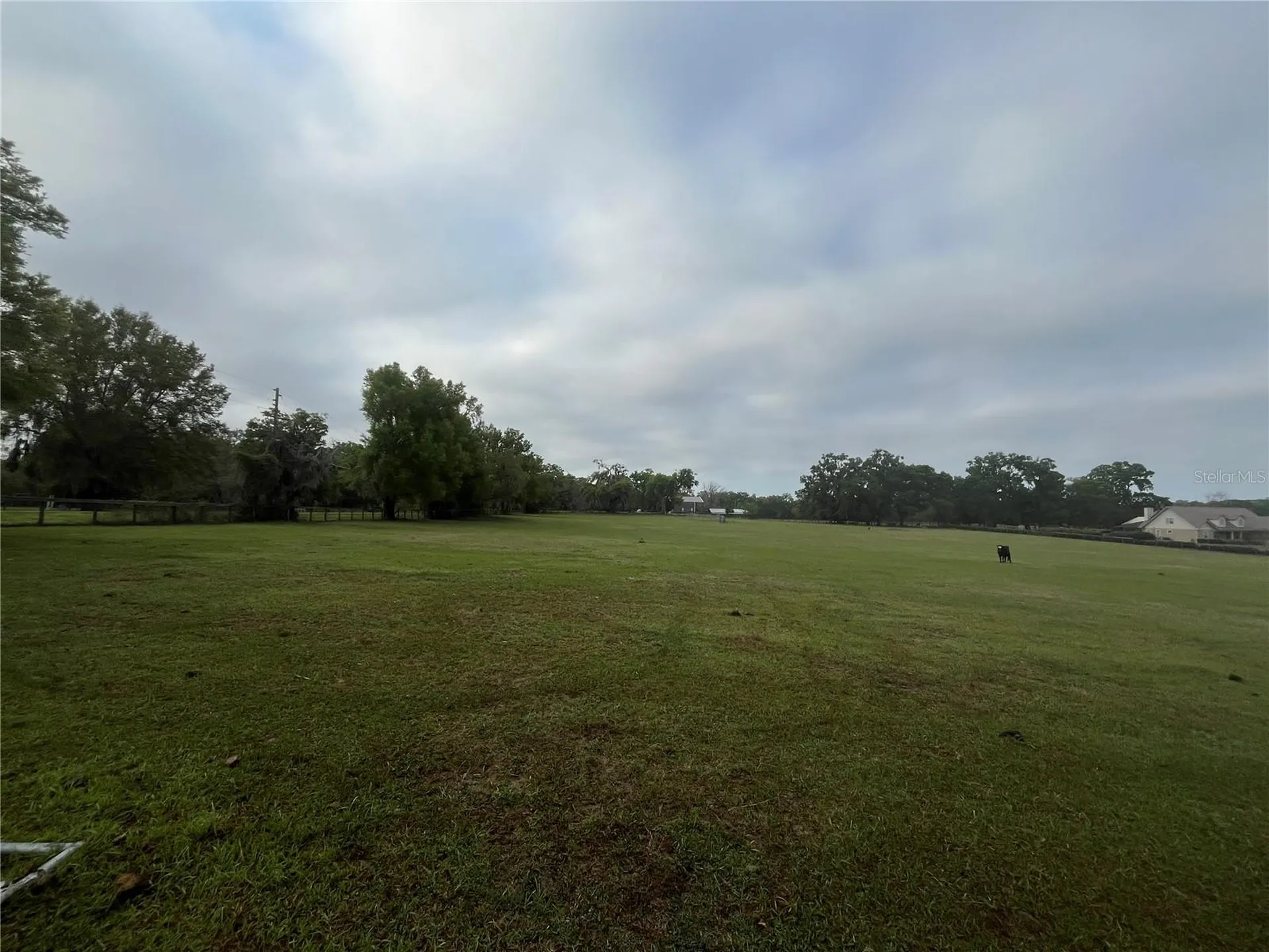 Tbd NE 106th Street Anthony FL 32617
