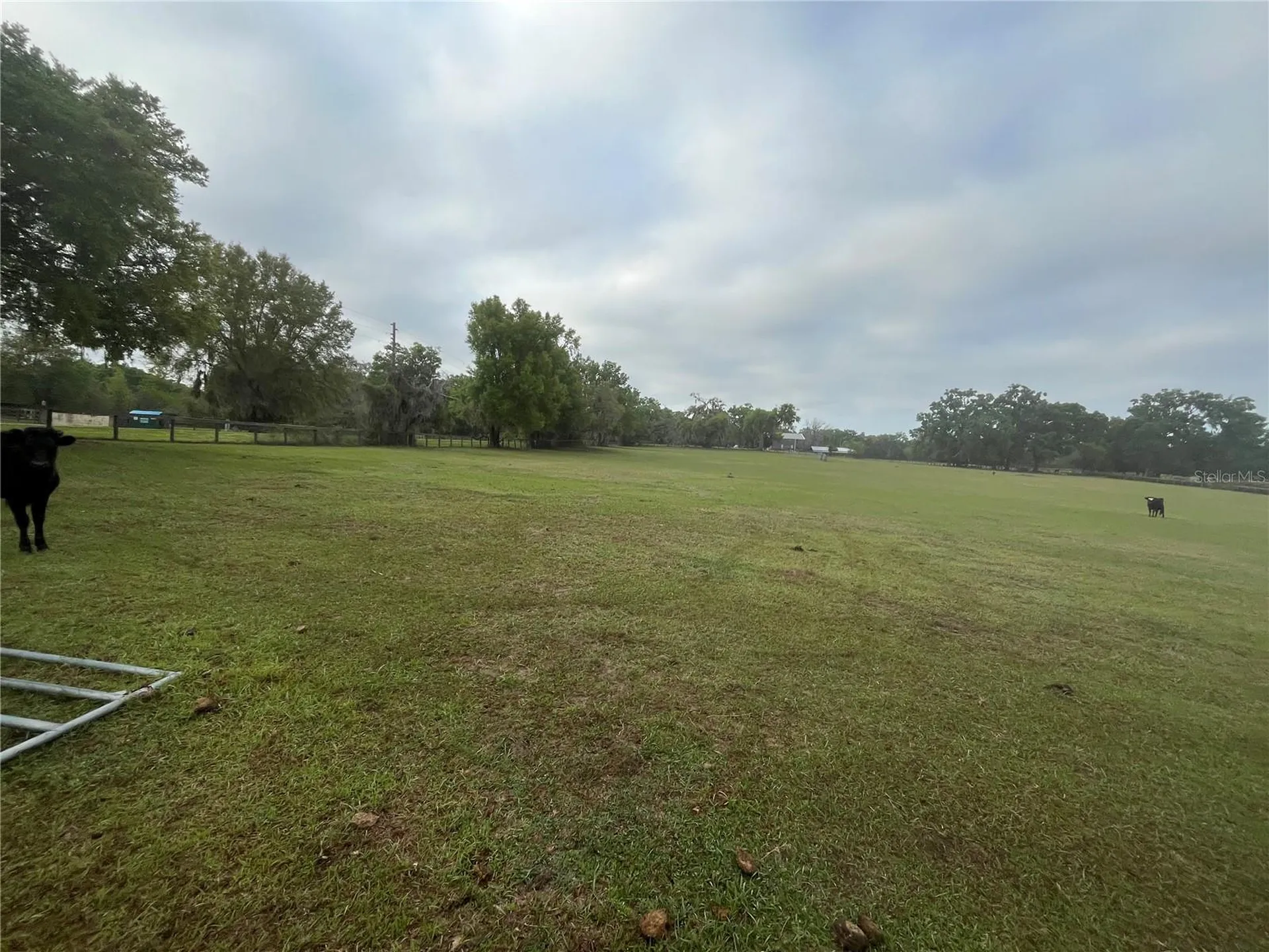 Tbd NE 106th Street Anthony FL 32617