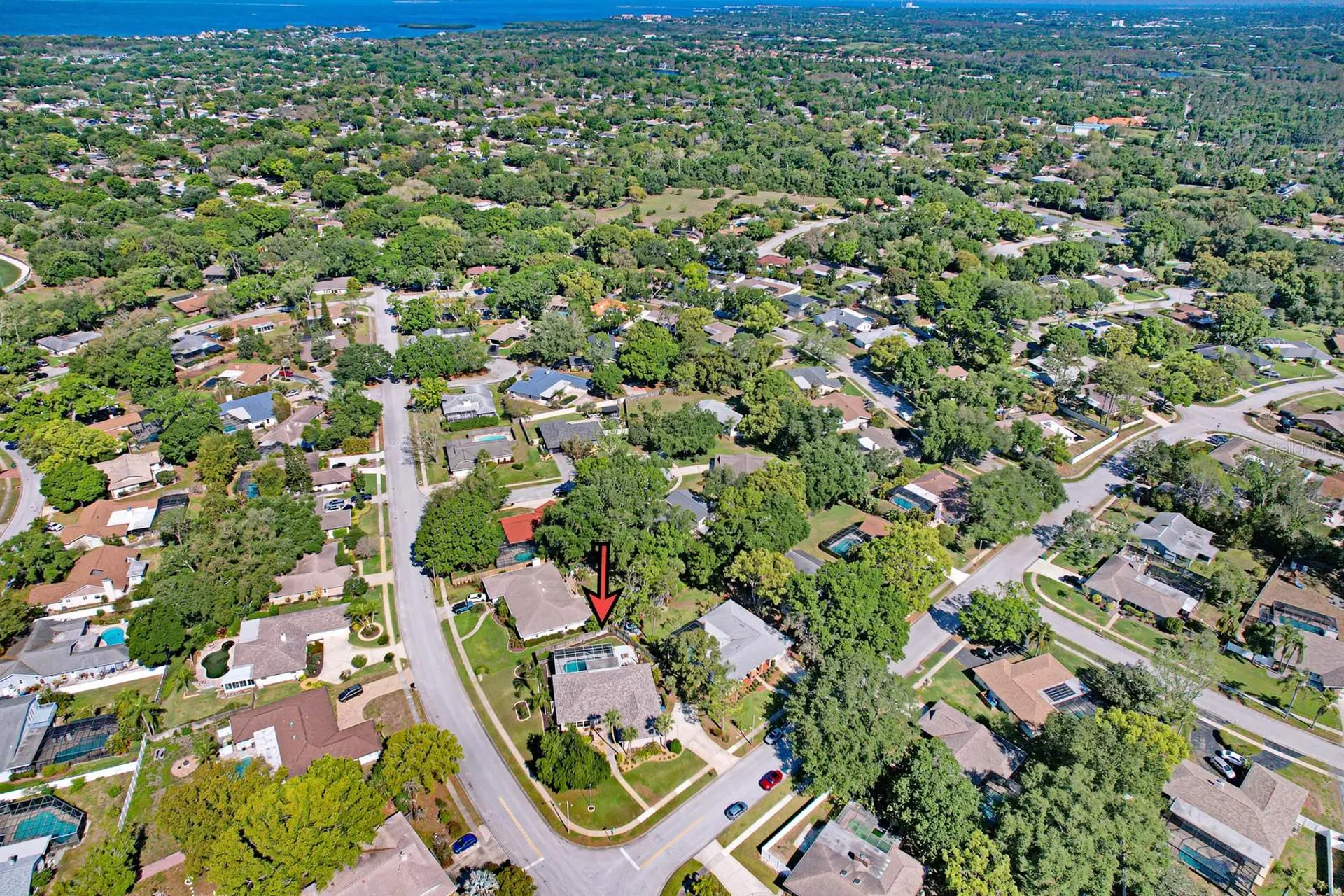75 Woodcutter Lane Palm Harbor FL 34683