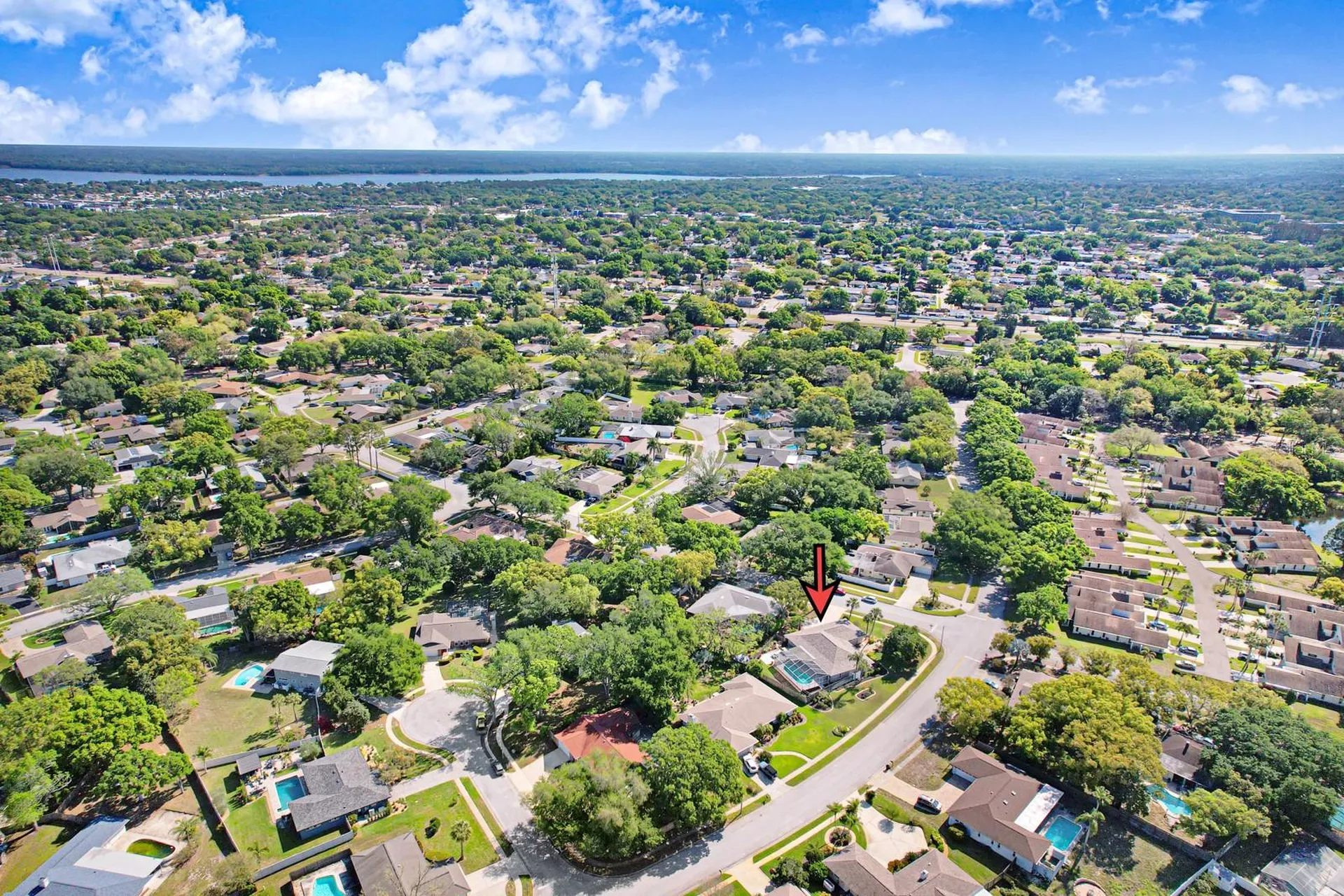 75 Woodcutter Lane Palm Harbor FL 34683