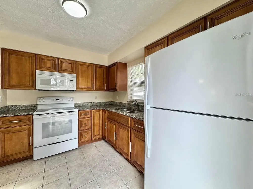 10015 N Aster Avenue Tampa FL 33612