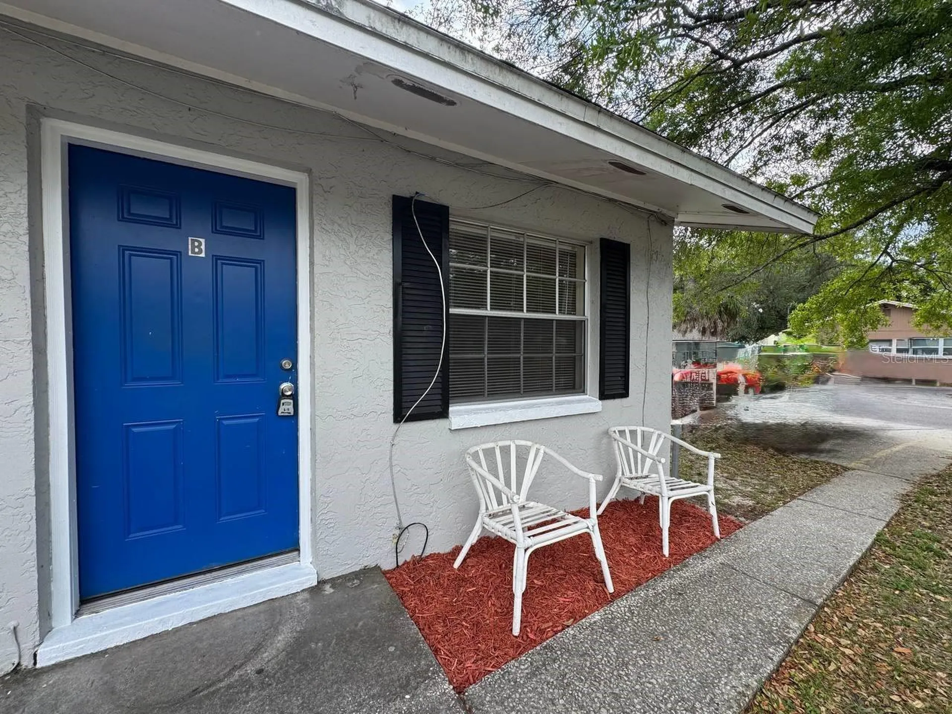 10015 N Aster Avenue Tampa FL 33612