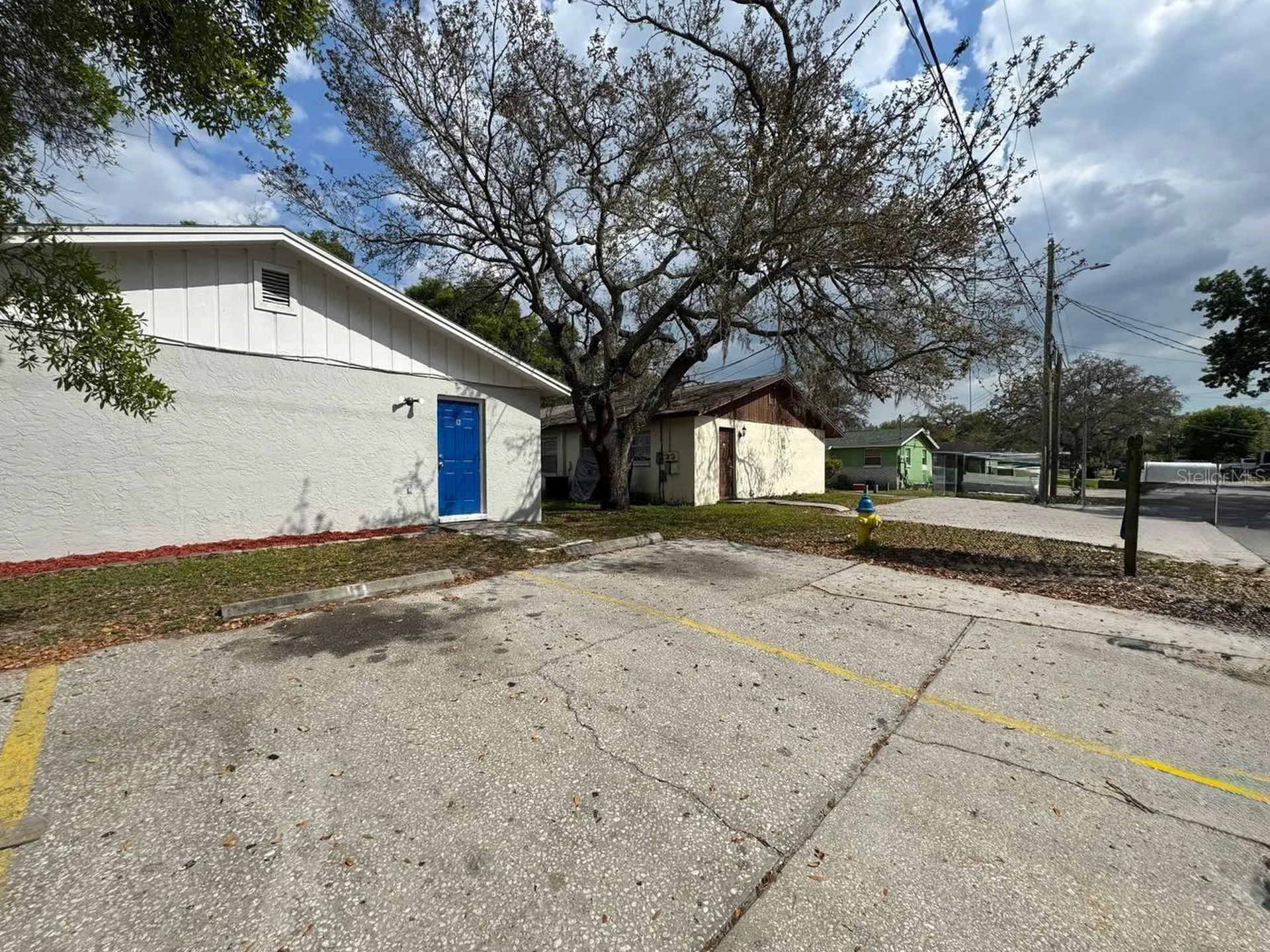 10015 N Aster Avenue Tampa FL 33612