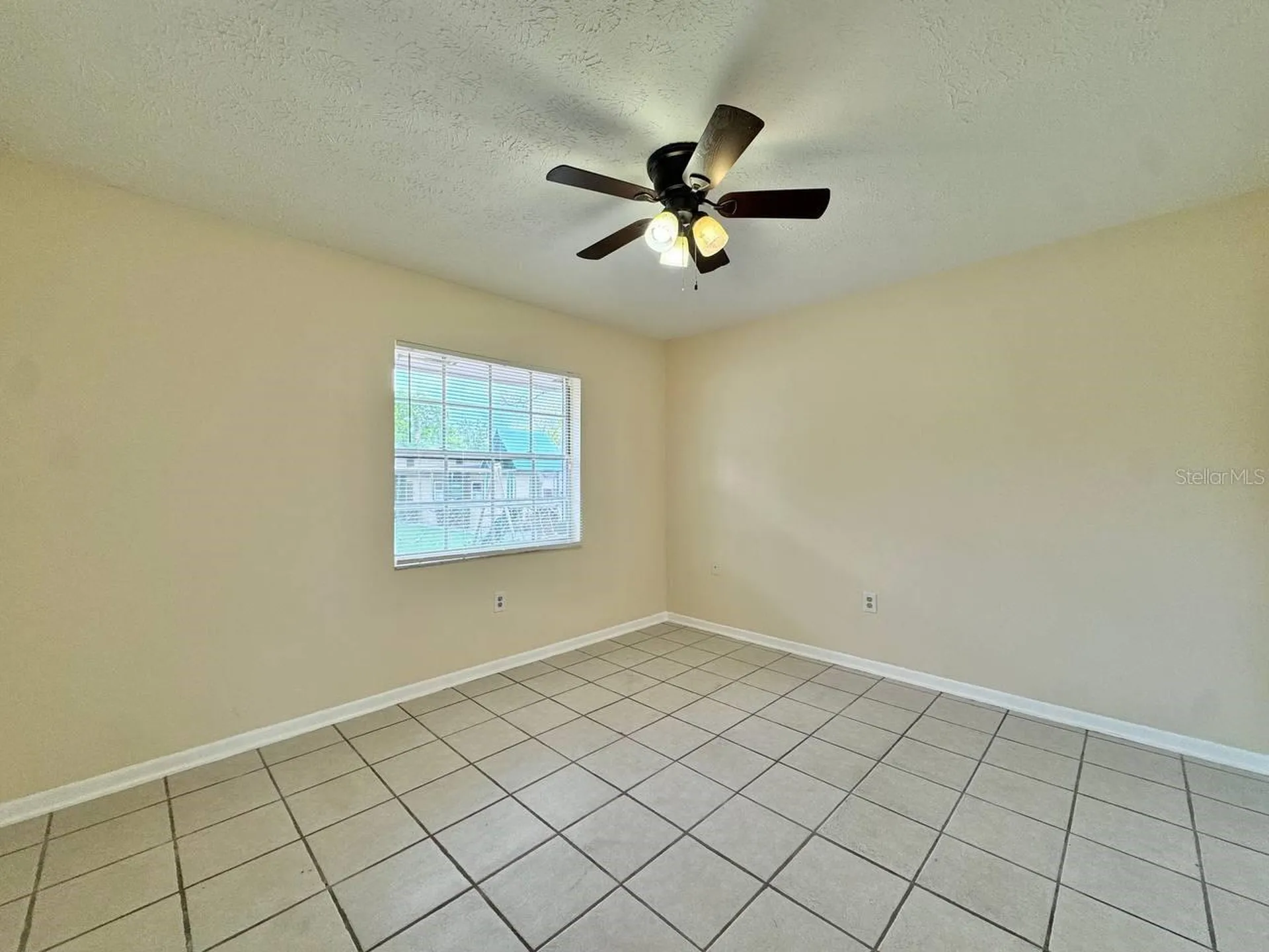 10015 N Aster Avenue Tampa FL 33612