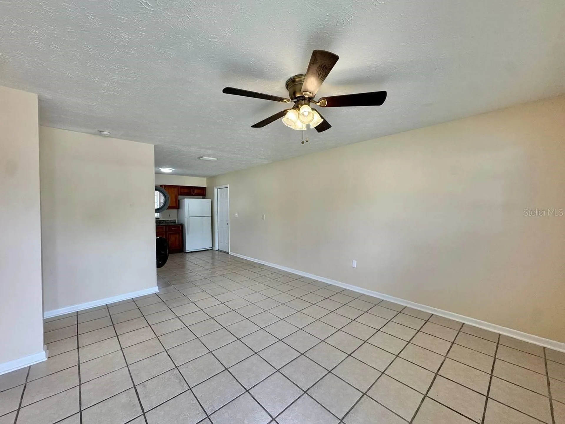 10015 N Aster Avenue Tampa FL 33612