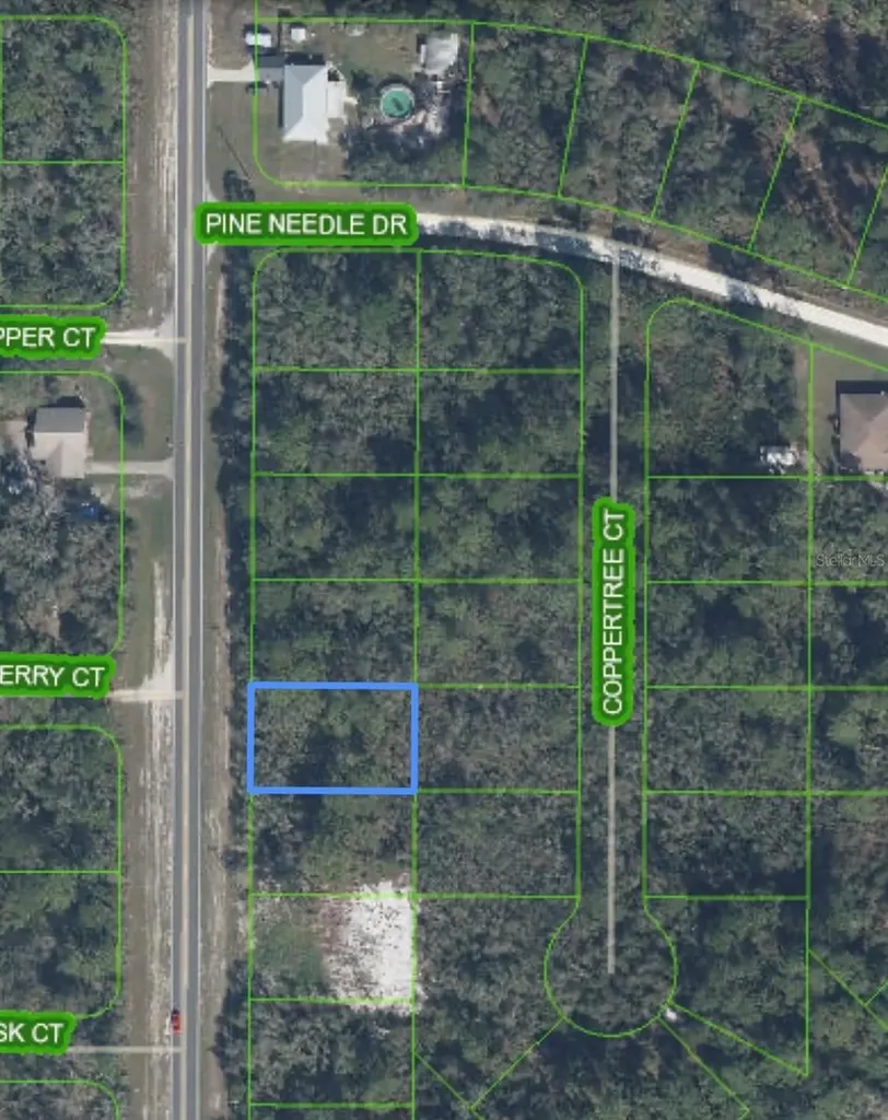 9784 S Orange Blossom Boulevard Sebring FL 33875