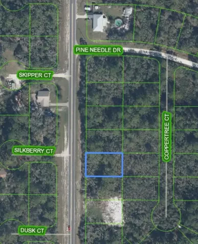 9784 S Orange Blossom Boulevard Sebring FL 33875