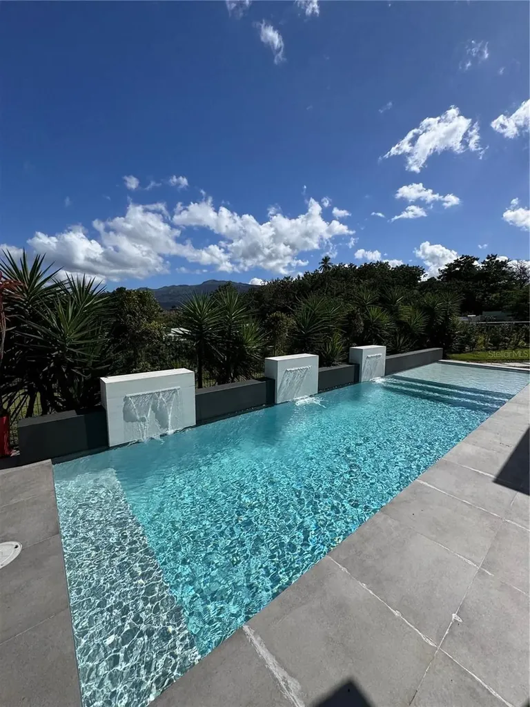 41 San Pedrito Sur Rio Grande PR 00745