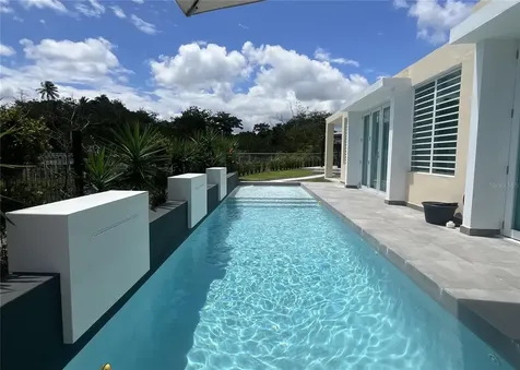 41 San Pedrito Sur Rio Grande PR 00745