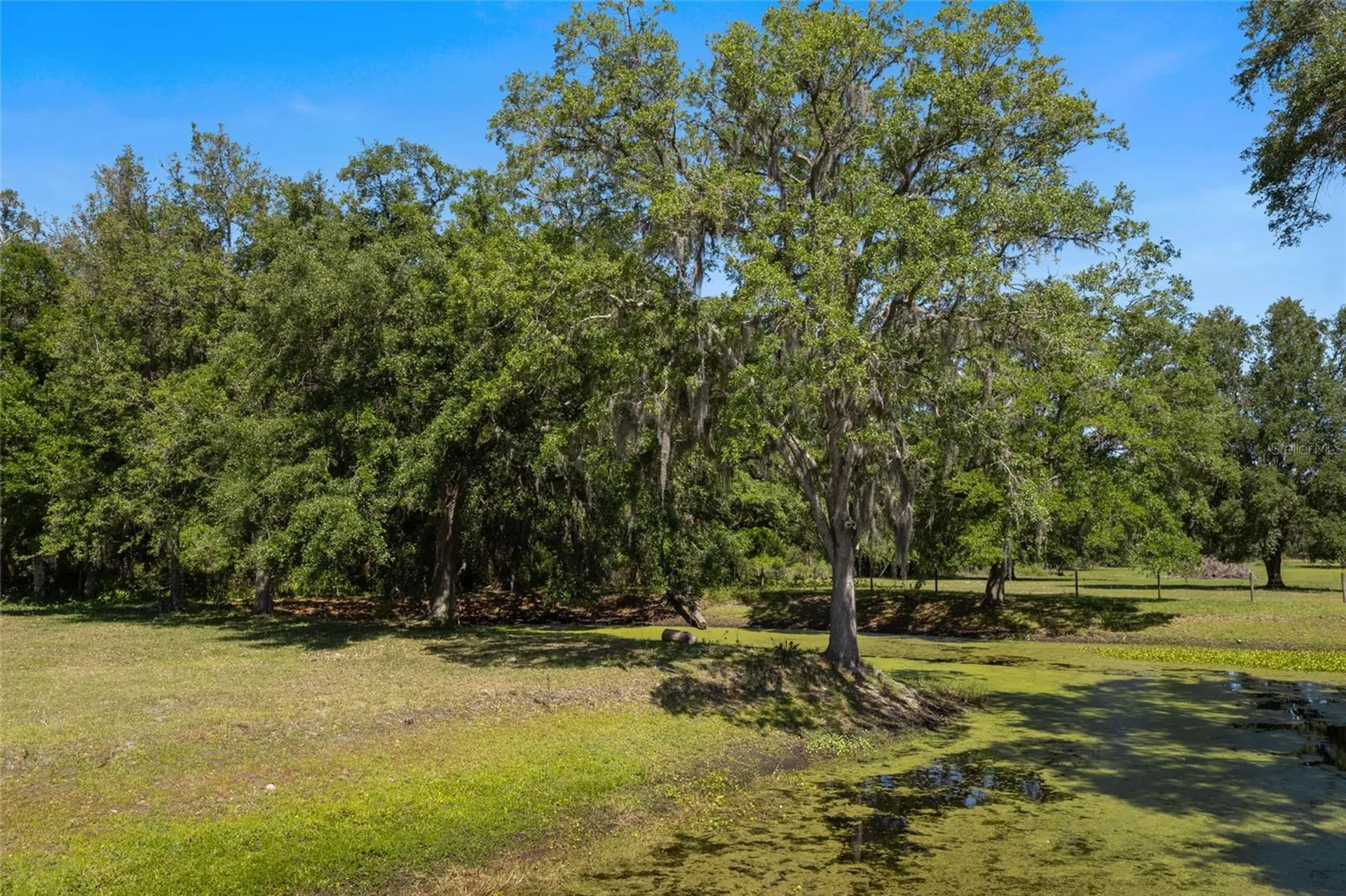 11902 Cr 727 Webster FL 33597