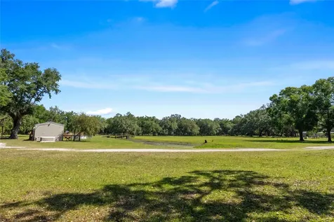 11902 Cr 727 Webster FL 33597