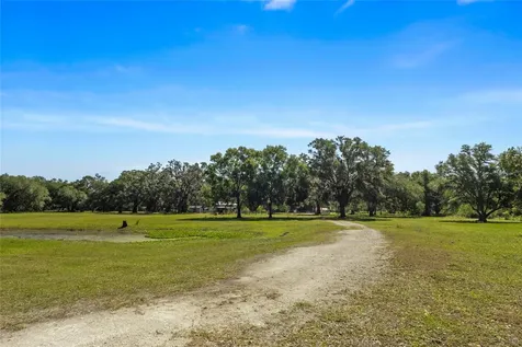 11902 Cr 727 Webster FL 33597