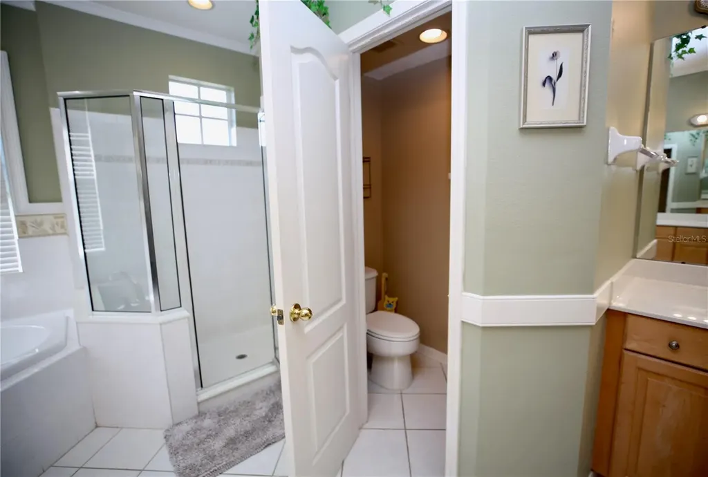 2410 Tea Olive Terrace Valrico FL 33594