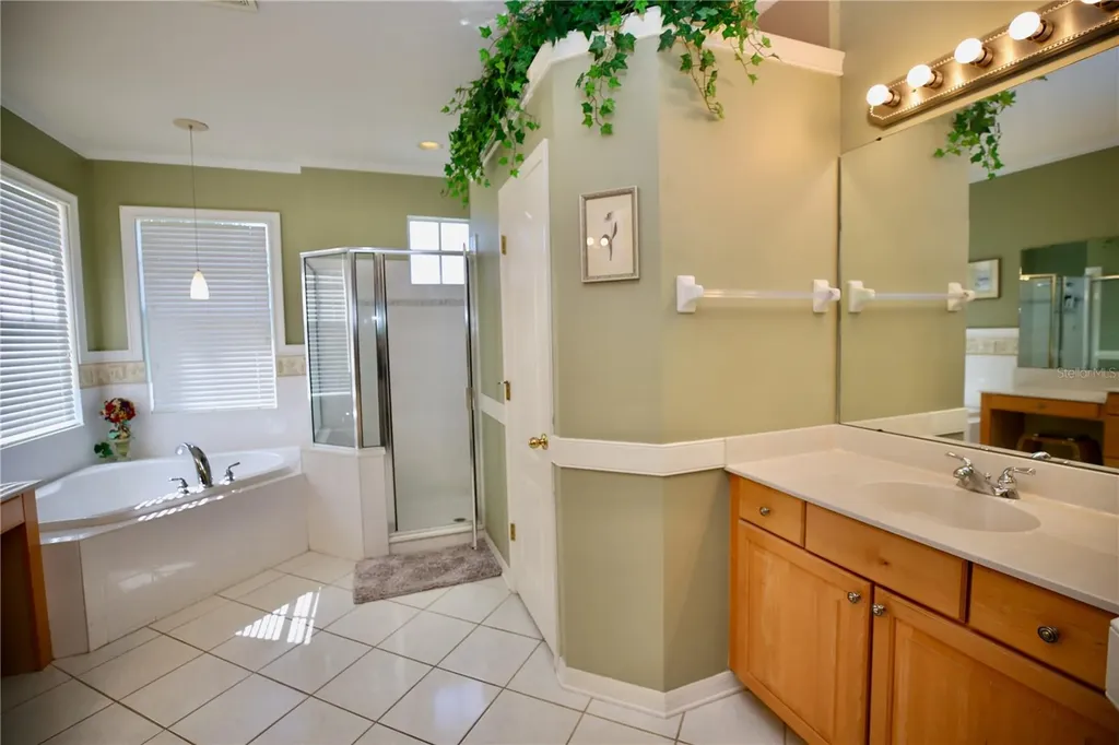 2410 Tea Olive Terrace Valrico FL 33594