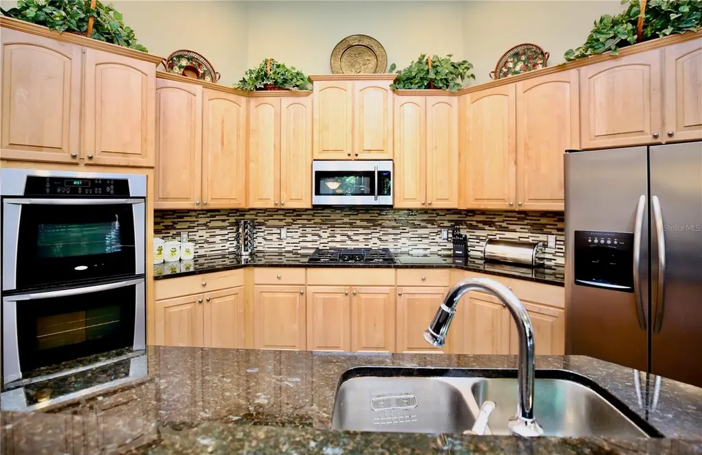 2410 Tea Olive Terrace Valrico FL 33594