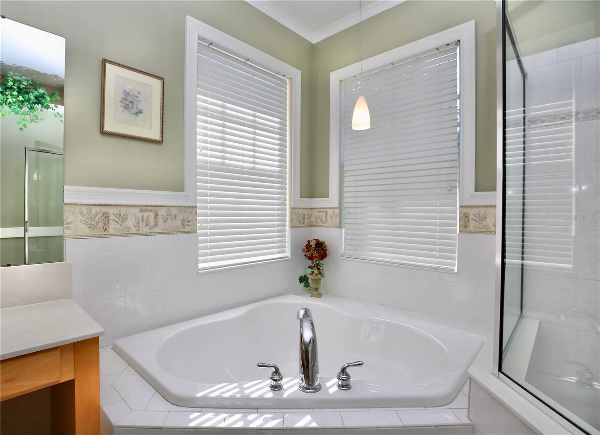 2410 Tea Olive Terrace Valrico FL 33594