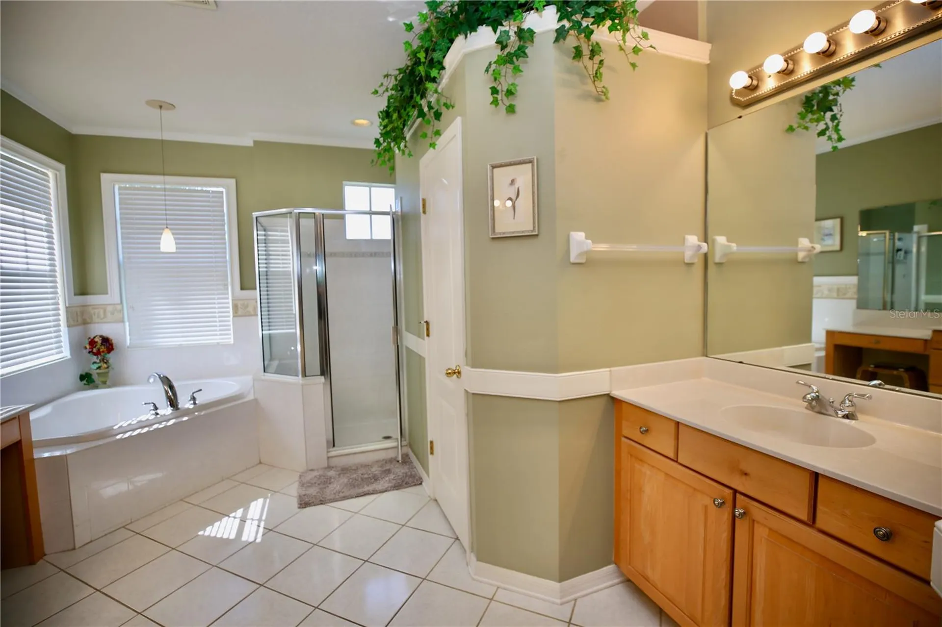 2410 Tea Olive Terrace Valrico FL 33594