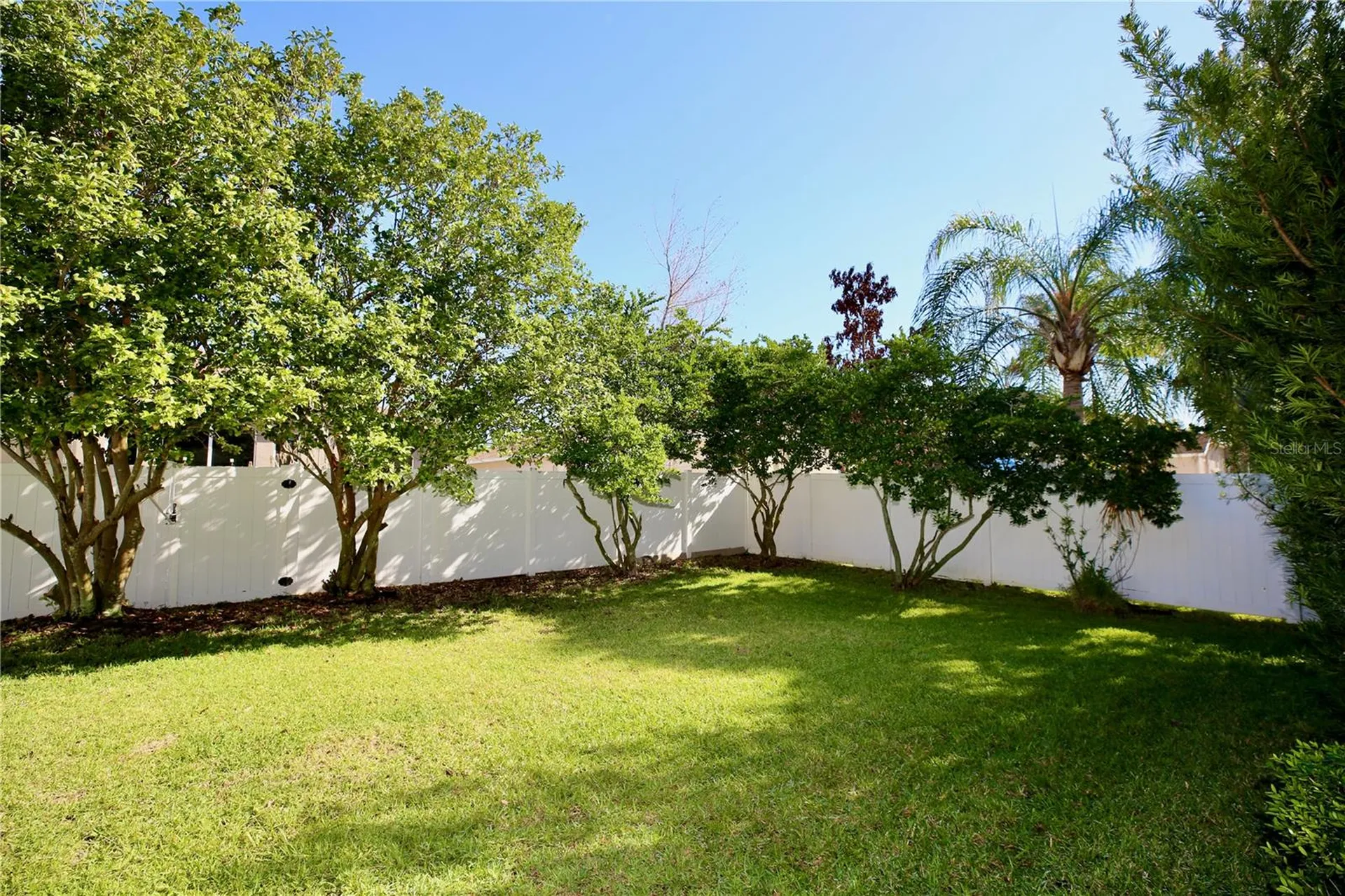 2410 Tea Olive Terrace Valrico FL 33594
