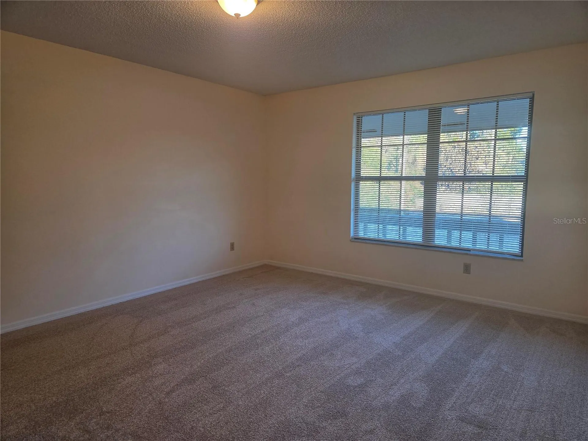2900 N Mills Avenue Orlando FL 32803
