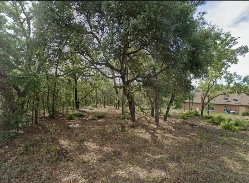 17 Cherrypalm Court Homosassa FL 34446