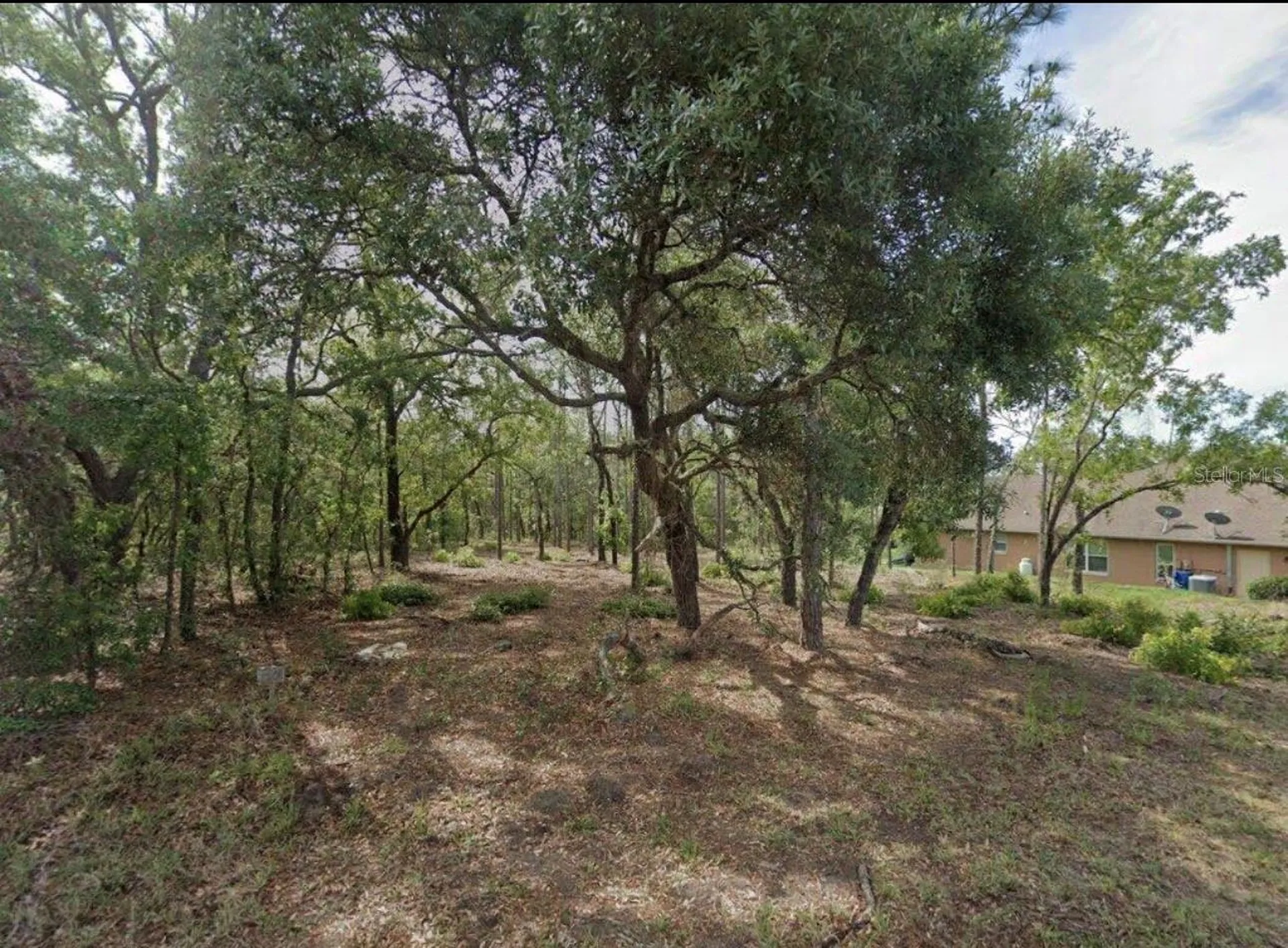 17 Cherrypalm Court Homosassa FL 34446