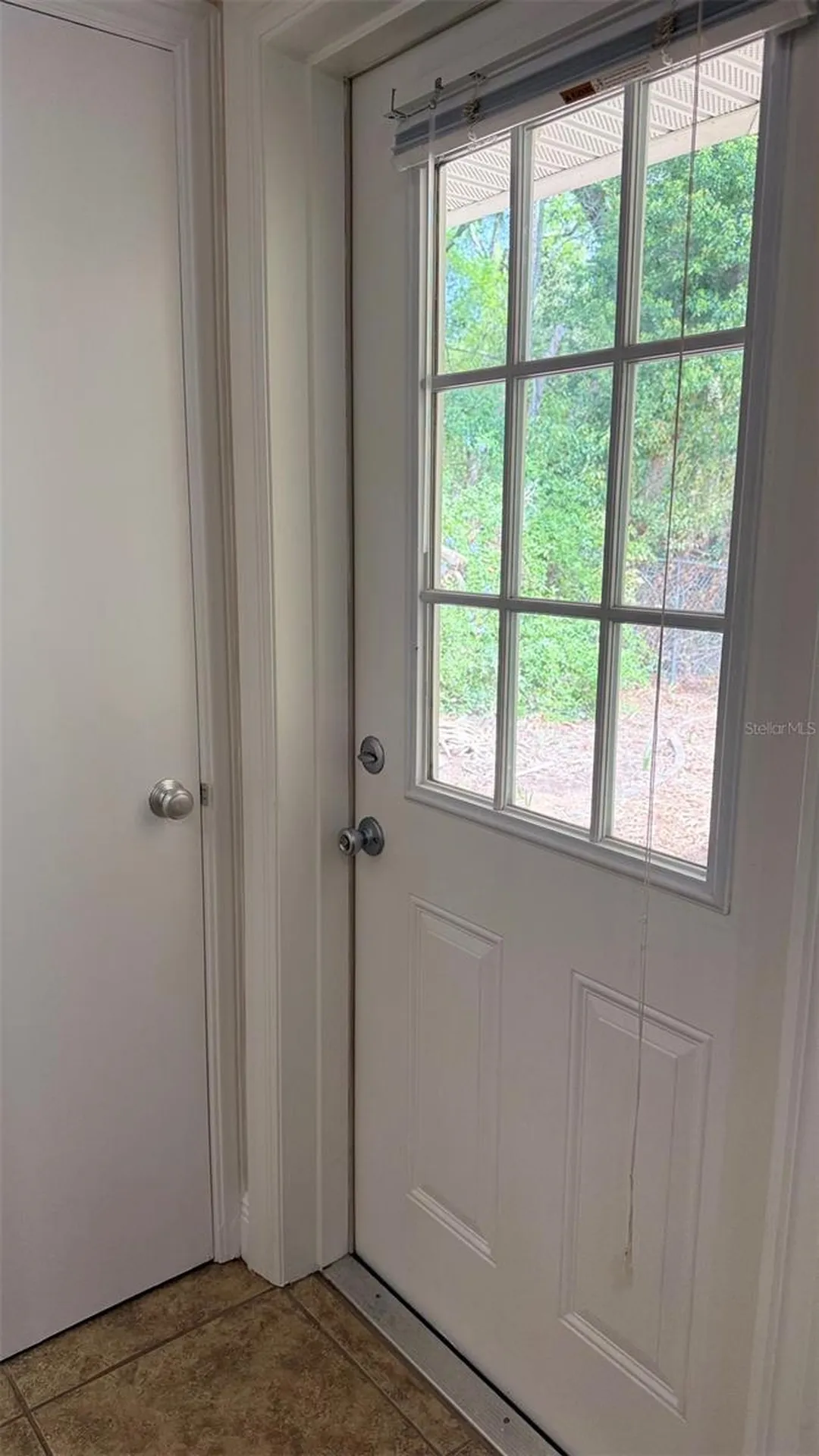 1603 Lake Nettie Court Eustis FL 32726