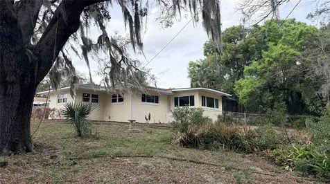 1603 Lake Nettie Court Eustis FL 32726