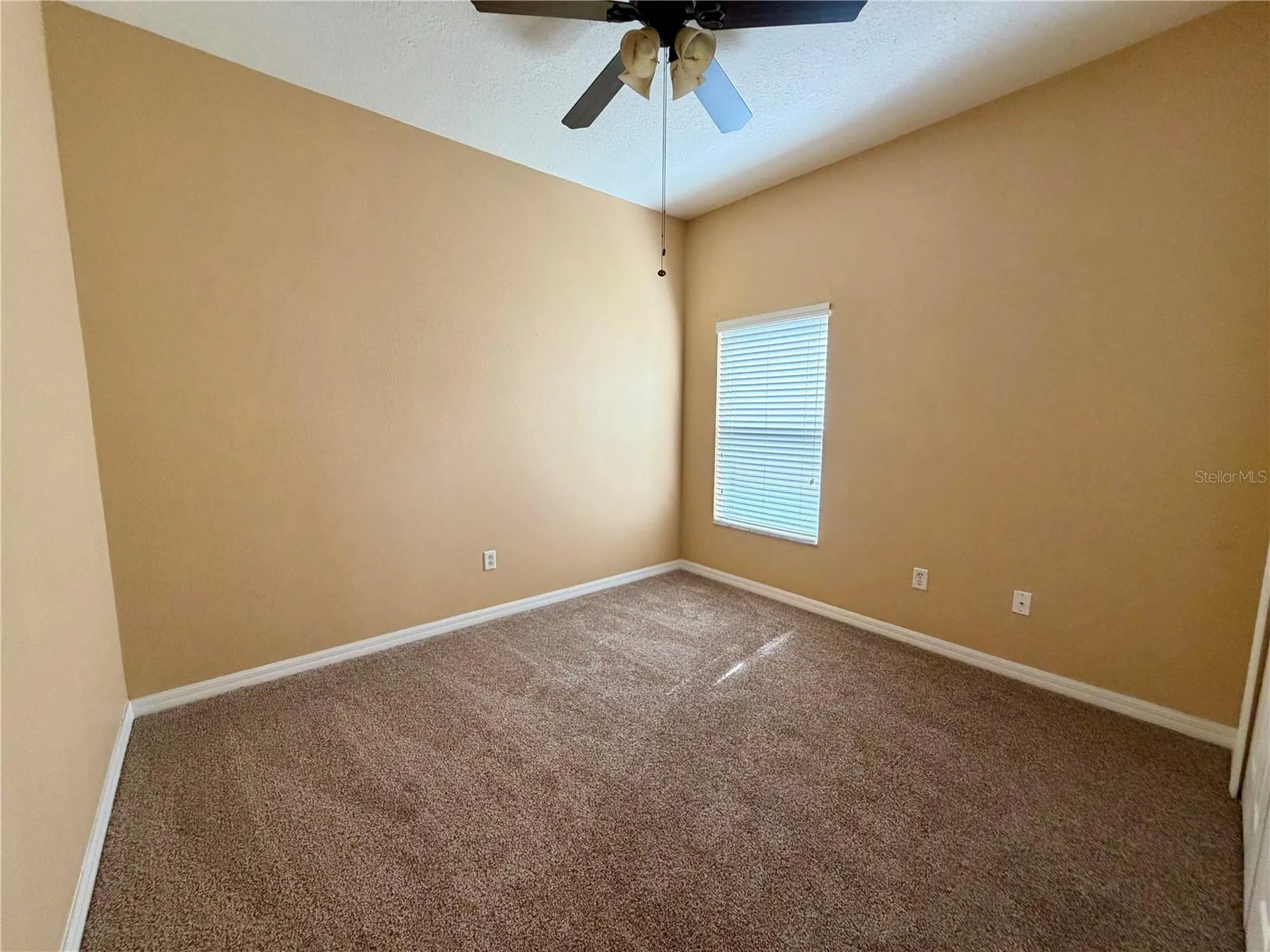 11414 Crisfield Place New Port Richey FL 34654