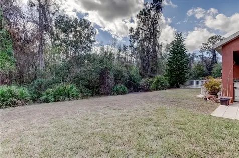 11414 Crisfield Place New Port Richey FL 34654