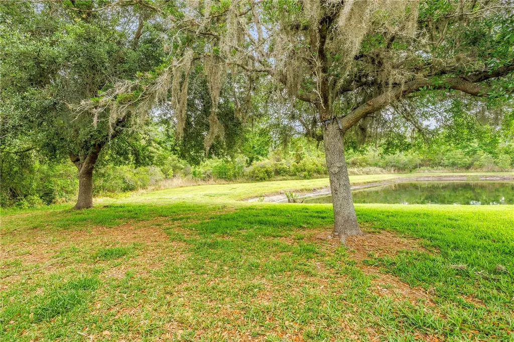 9630 Nathaniel Lane Land O Lakes FL 34638