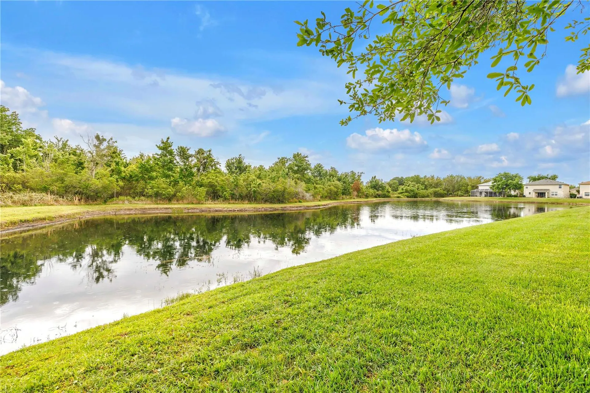 9630 Nathaniel Lane Land O Lakes FL 34638