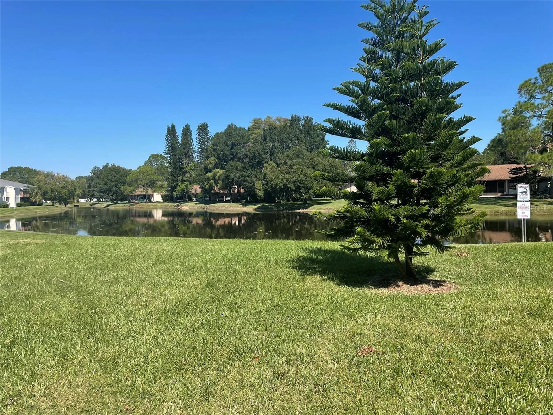 139 Hunter Lake Drive Oldsmar FL 34677