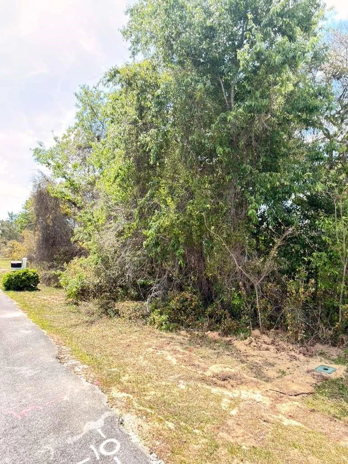 SW 21 Court Ocala FL 34473