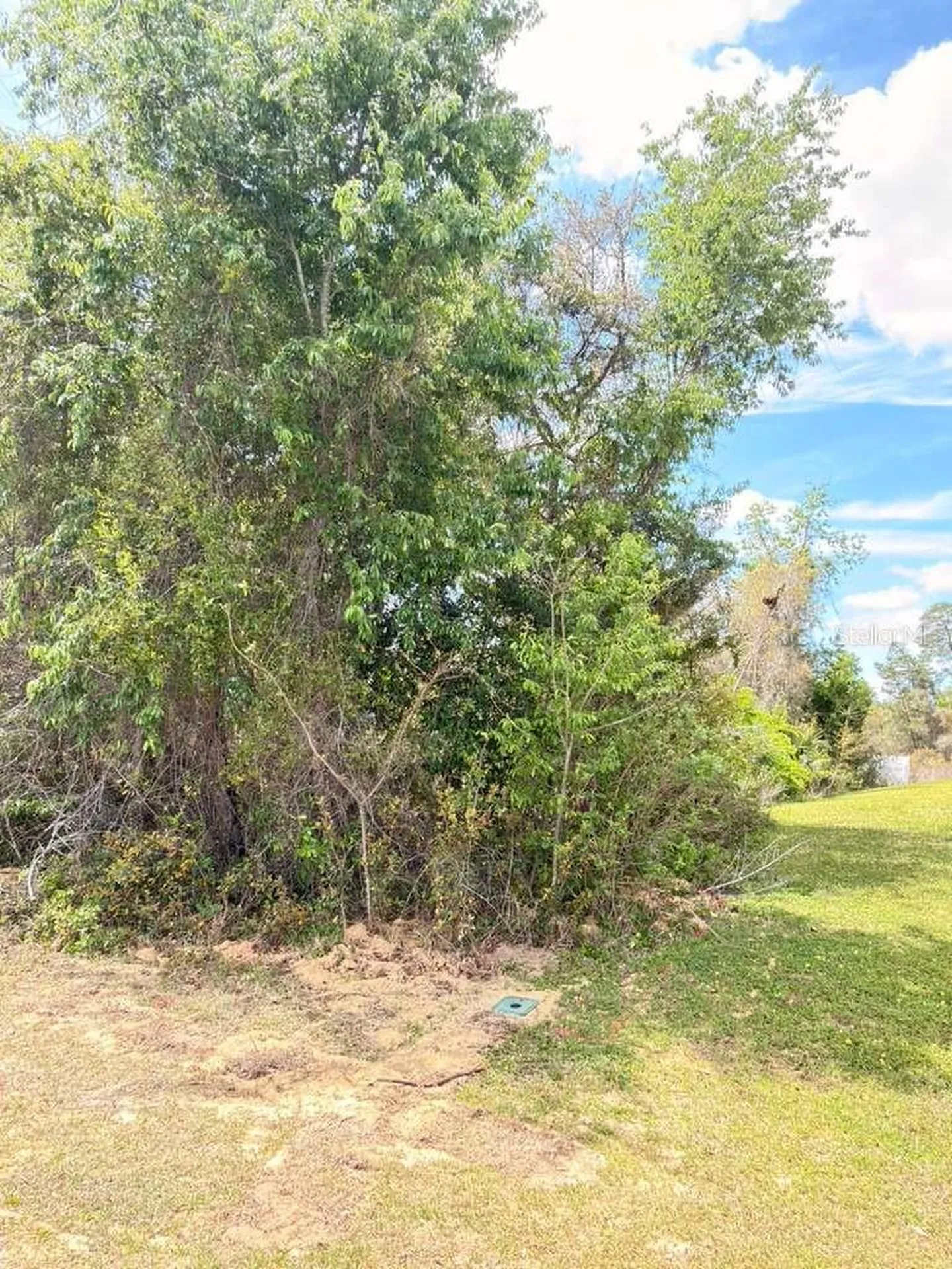 SW 21 Court Ocala FL 34473