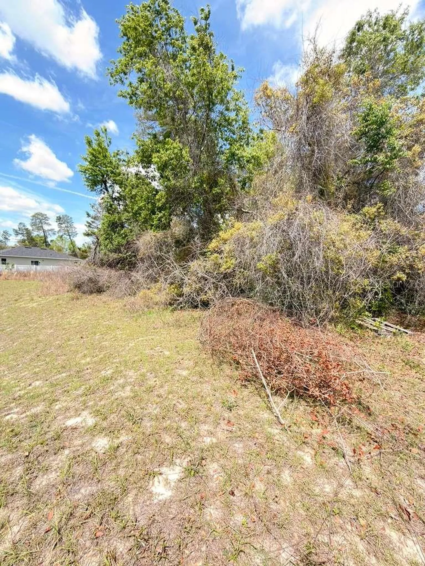 SW 21 Court Ocala FL 34473