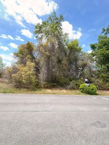 SW 21 Court Ocala FL 34473