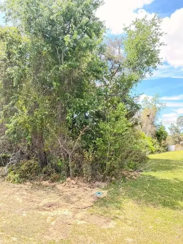 SW 21 Court Ocala FL 34473