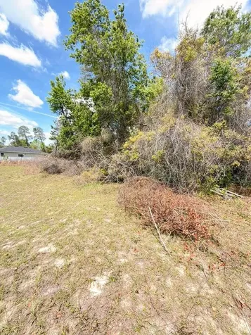 SW 21 Court Ocala FL 34473