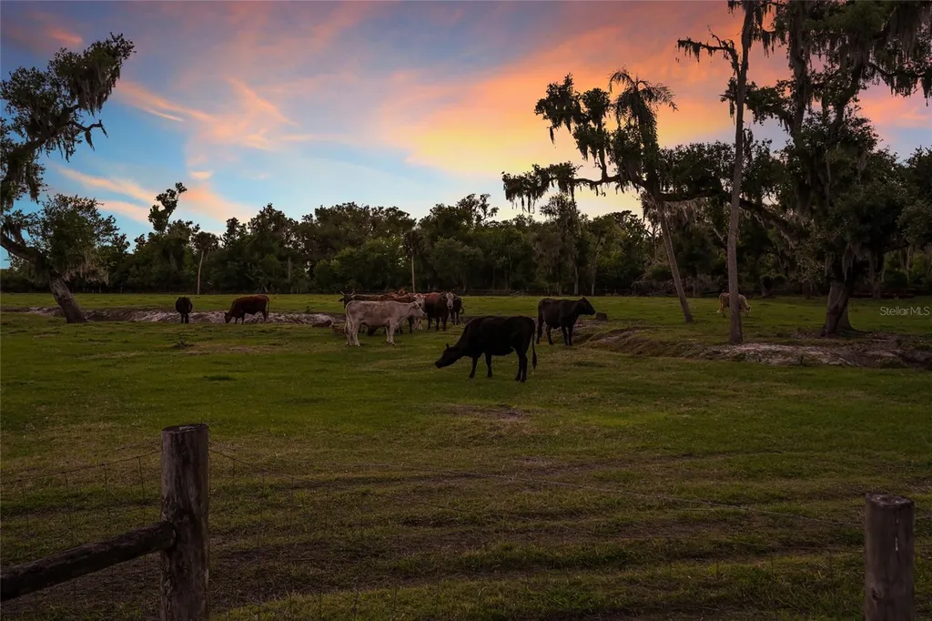 30854 Singletary Road Myakka City FL 34251