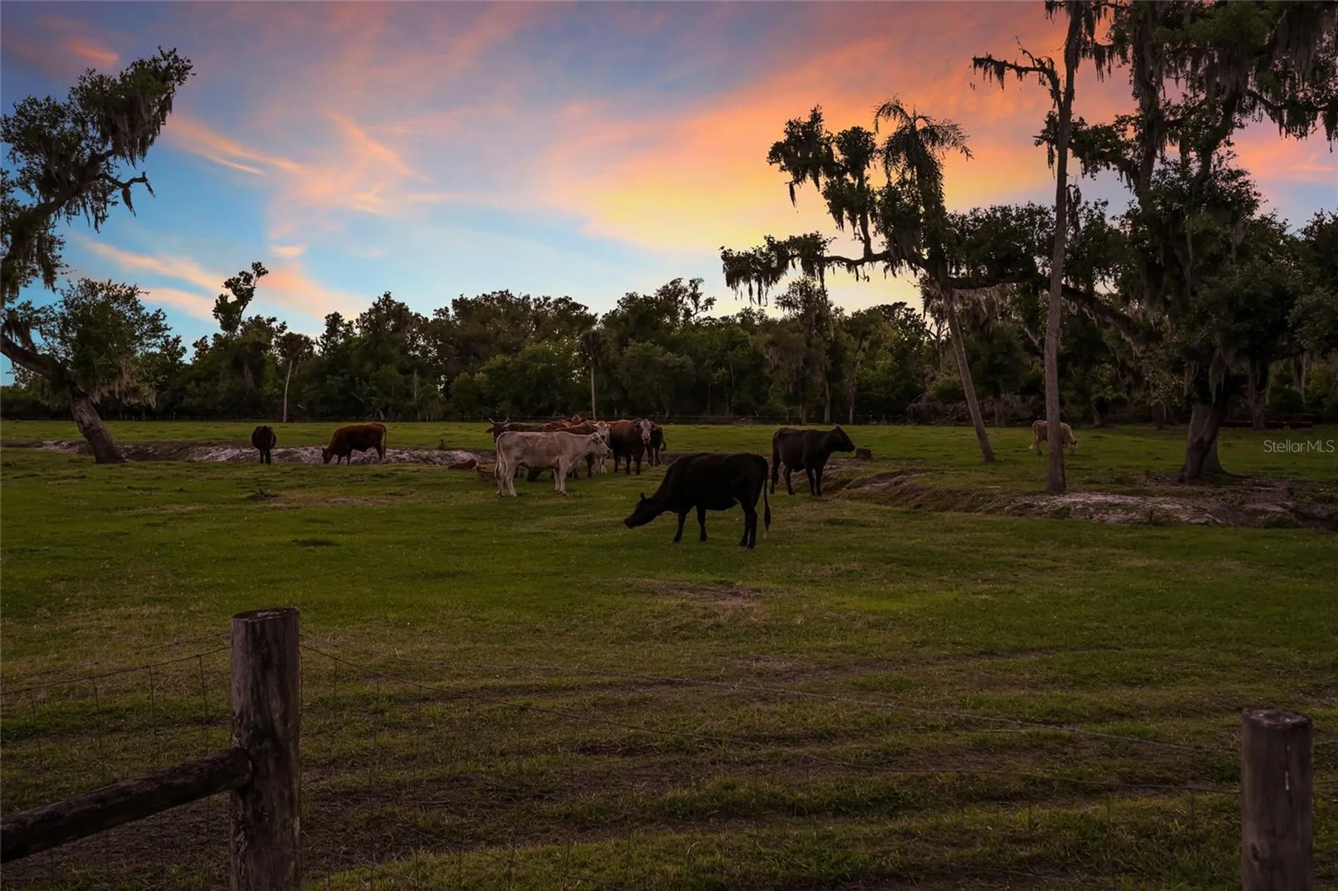 30854 Singletary Road Myakka City FL 34251